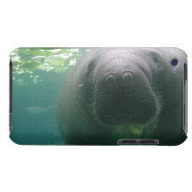 Sloppy Manatee iPod Touch Case-Mate Case