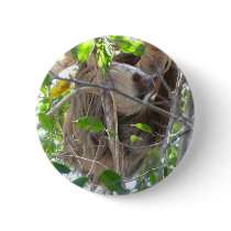 sloth button