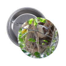 sloth button