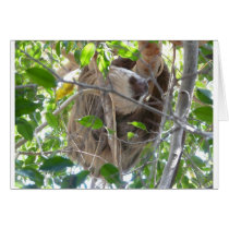 sloth greeting card