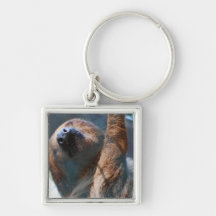 Sloth Face Keychain