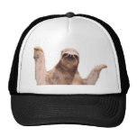sloth hat