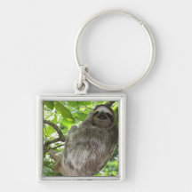 Sloth in Tree Key Chain