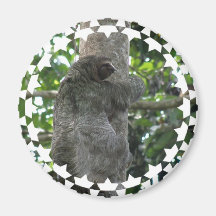 Sloth Magnet