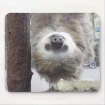 Sloth Mousepad