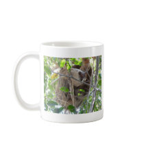 sloth coffee mug