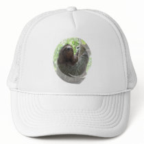 Sloth Photo Design Baseball Hat