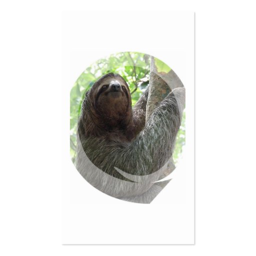 Sloth Photo Design Business Card (back side)