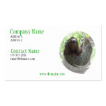 Sloth Photo Design Business Card
