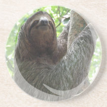 Sloth Photo Design Coasters