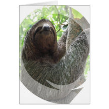 Sloth Photo Design Greeting Card