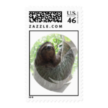 Sloth Photo Design Postal Stamp