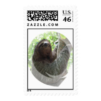 Sloth Photo Design Postal Stamp