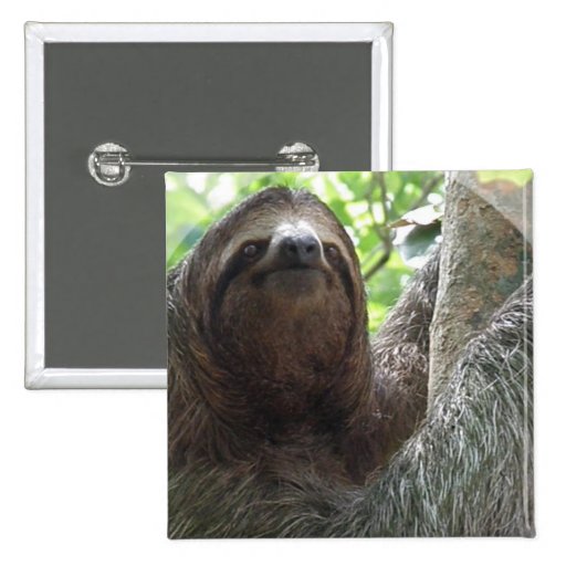 Sloth Photo Design Square Pin