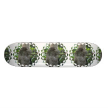 Sloth Skateboard