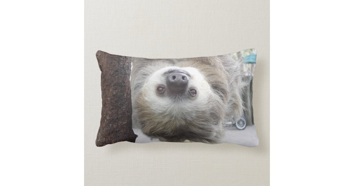 sloth pillow pet amazon