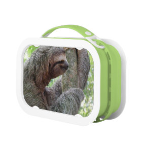 Sloth Yubo Lunch Box