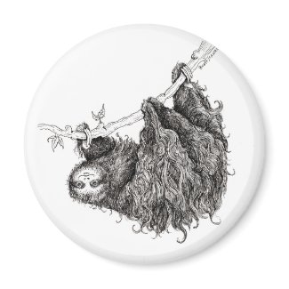 slothy magnet