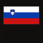 Slovenia Flag Map Spaghetti Top