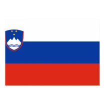 Slovenia Flag posters