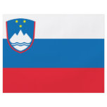 Slovenia Flyer