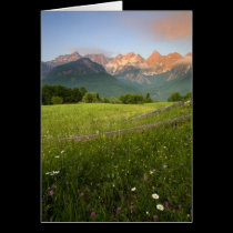 Slovenia Meadow cards
