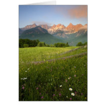 Slovenia Meadow Cards