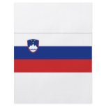 Slovenia National Flag Custom Flyer