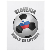 SLOVENIA SOCCER CHAMPIONS FLYERS