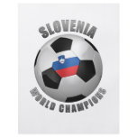 SLOVENIA SOCCER CHAMPIONS FLYERS