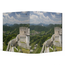 SLOVENIA, STAJERSKA Styria), Celje: Town View Binders