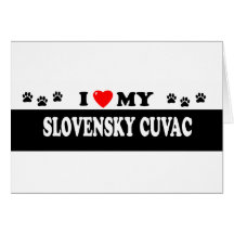 SLOVENSKY CUVAC CARD