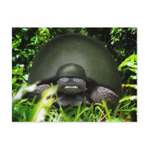 Slow Commando Postcard