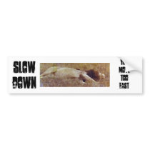 Slow Dow, You Move Too Fast Bumper Sticker