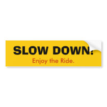 SLOW DOWN! Bumper Sticker bumper stickers