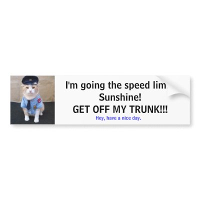 Slow Down! Bumper Sticker by myrtieshuman