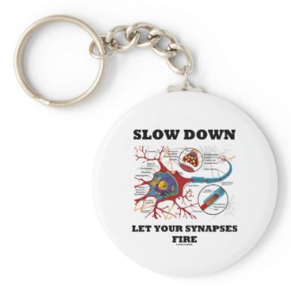 Slow Down Let Your Synapses Fire Neuron / Synapse Key Chains