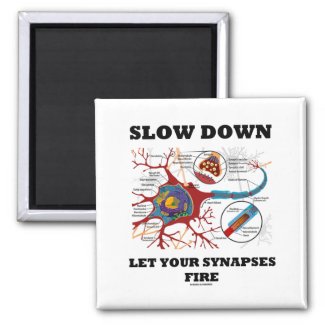 Slow Down Let Your Synapses Fire Neuron / Synapse Refrigerator Magnets