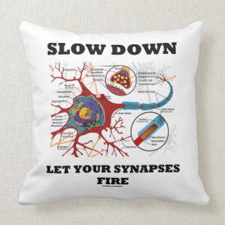 Slow Down Let Your Synapses Fire Neuron / Synapse Pillows