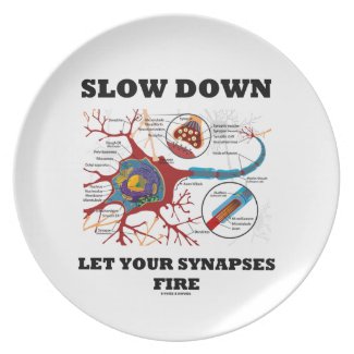 Slow Down Let Your Synapses Fire Neuron / Synapse Party Plates