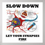 Slow Down Let Your Synapses Fire Neuron / Synapse Print