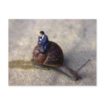 Slow Journey Post Card