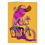 Slow Rider cards