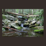 Slow Stream Poster