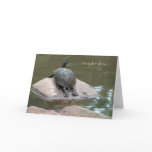 slow turtle birthday card
