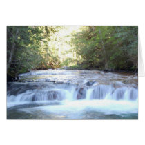 Slow waters cards