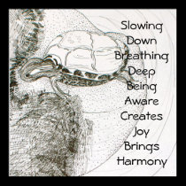 Slowing Down posters