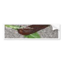 Slug Bumper Sticker