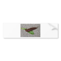 Slug bumper stickers by lifesphere Slug bumper stickers