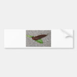 Slug Bumper Sticker